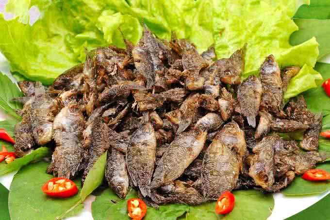 Description: dac san thanh hoa