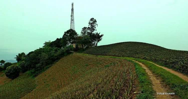 Description: địa điểm du lịch thanh ha